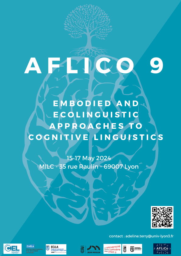 AFLiCo 9 - affiche